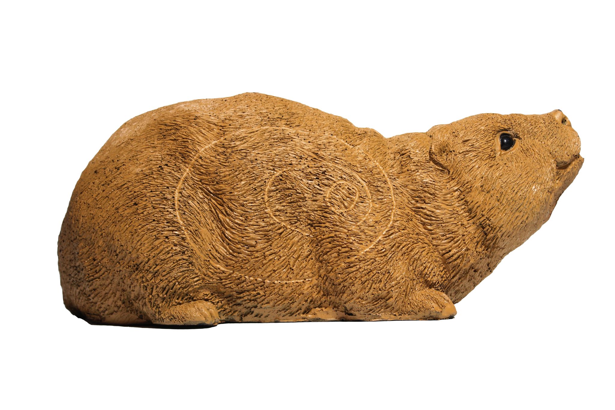 Nutria Animal Target