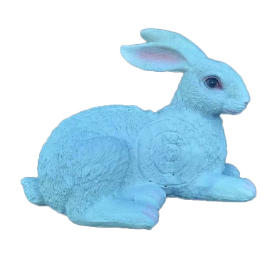 Rabbit Wild Animal Target 2